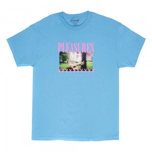 Blue Men's Playboy x Pleasures Swinging Playmate T-shirts | PLBY-593223