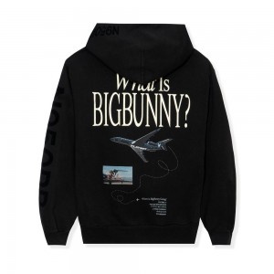 Mauve Men's Playboy Aviation Wings N950PB Hoodies | PLBY-593071