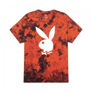 Men's Playboy Big Rabbit Head T-shirts | PLBY-593273