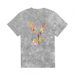 Men's Playboy x Color Bars Take A Trip Smoke Tie-Dye T-shirts | PLBY-593256