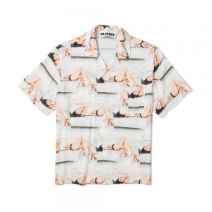 White Men's Playboy Sanctuary Camp T-shirts | PLBY-593224
