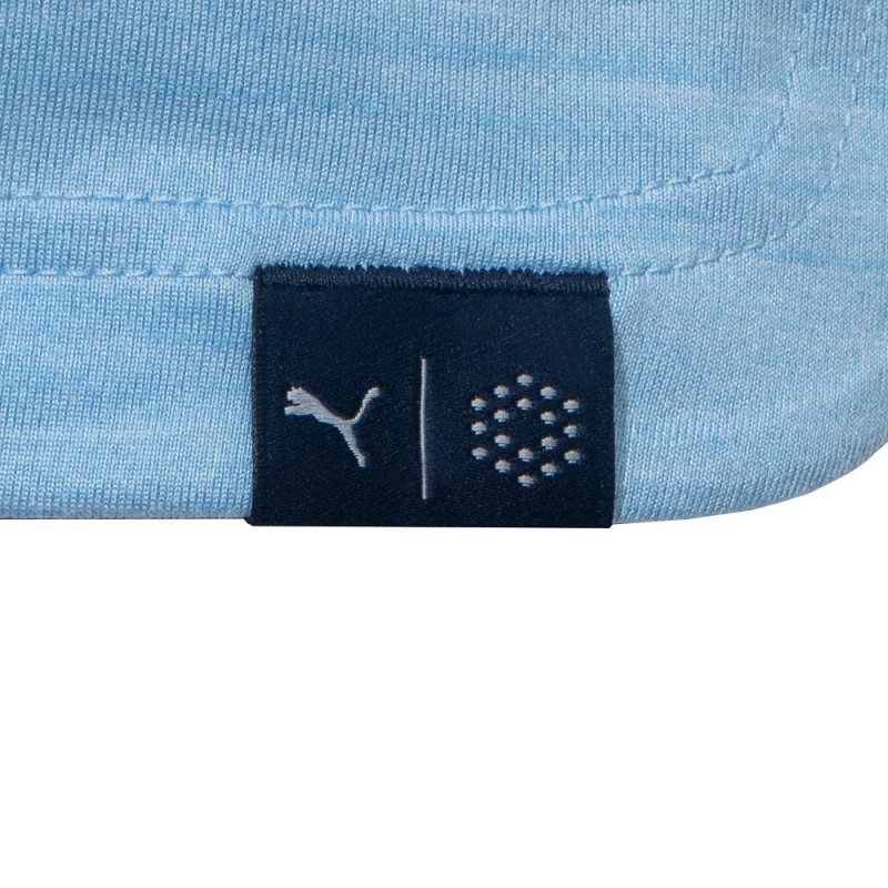 Blue Men's Playboy Puma Golf Monarch Performance Polo T-shirts | PLBY-593246