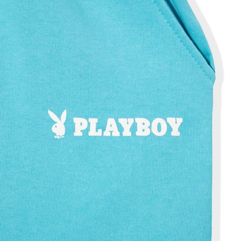 Light Blue Women's Playboy The Icon Shimmer Shorts | PLBY-592759