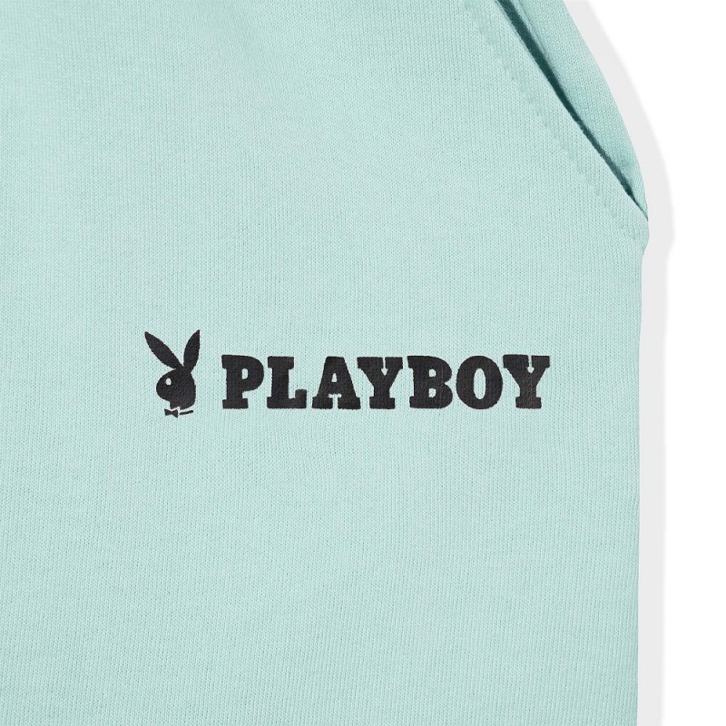 Light Blue Women's Playboy The Icon Shimmer Shorts | PLBY-592759