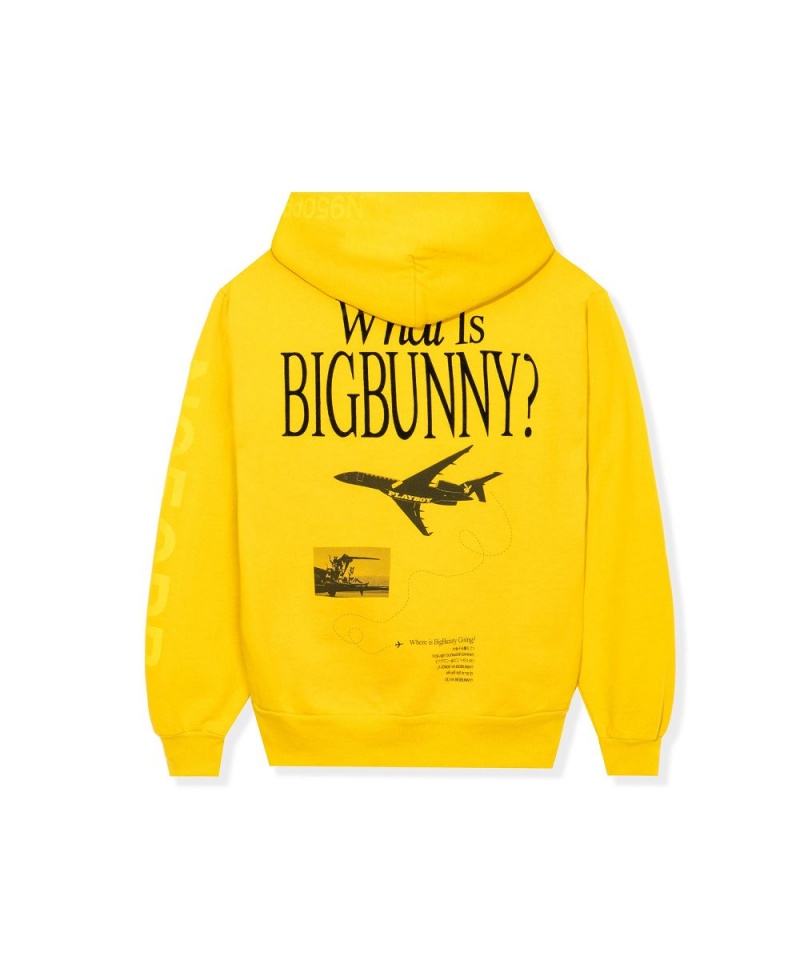 Mauve Men's Playboy Aviation Wings N950PB Hoodies | PLBY-593071