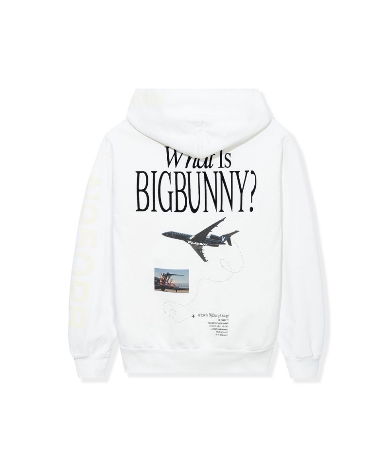 Mauve Men's Playboy Aviation Wings N950PB Hoodies | PLBY-593071