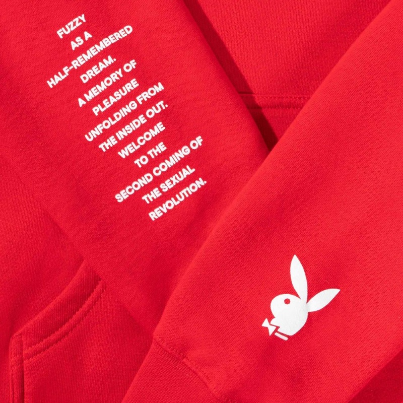 Men's Playboy Pleasure For All Hoodies | PLBY-593107