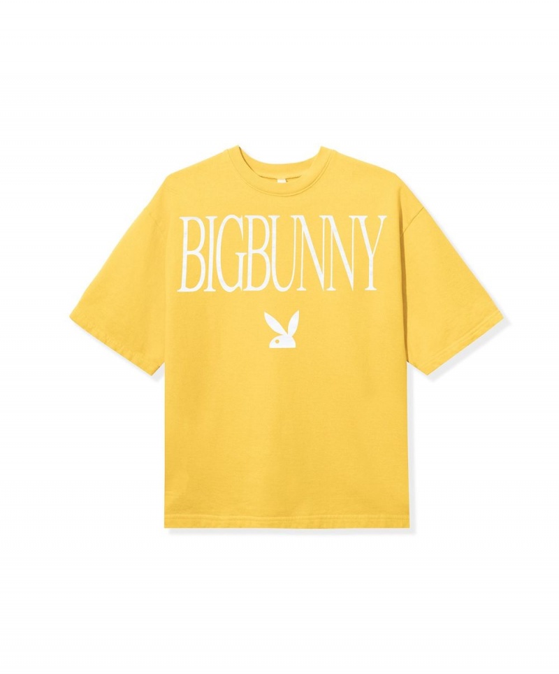 Mustard Men's Playboy Heavyweight Fleece T-shirts | PLBY-593205