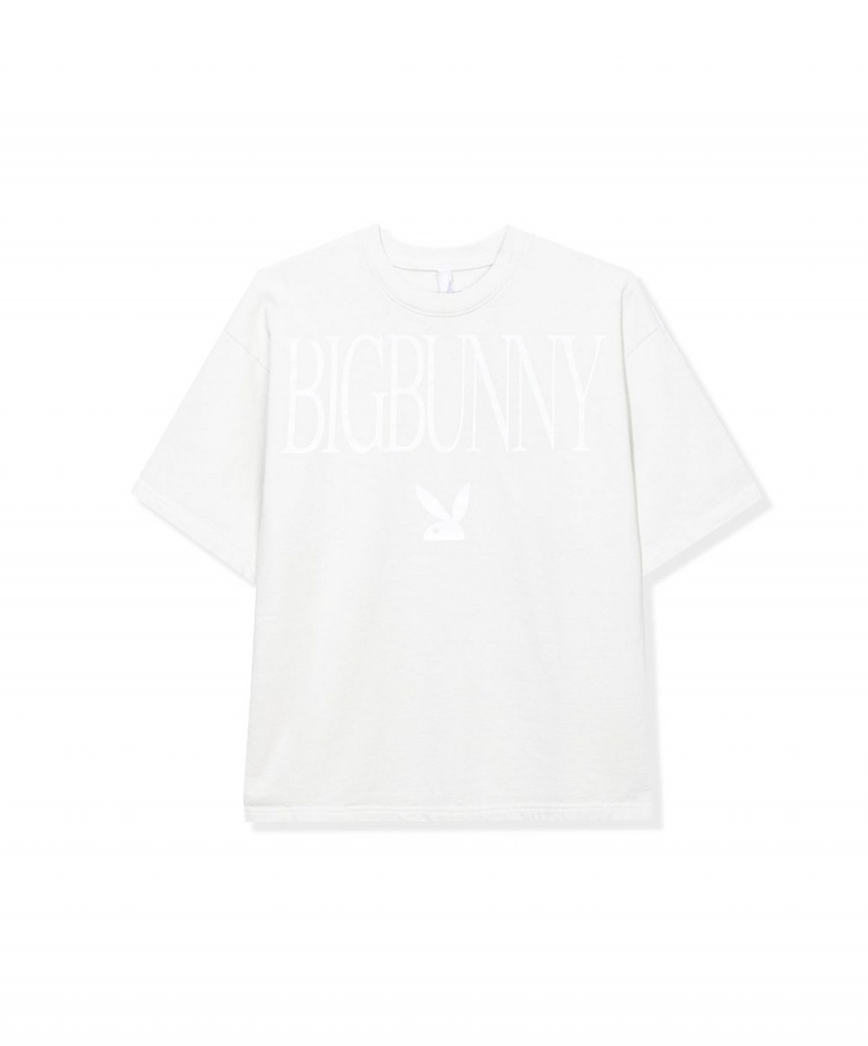Mustard Men's Playboy Heavyweight Fleece T-shirts | PLBY-593205